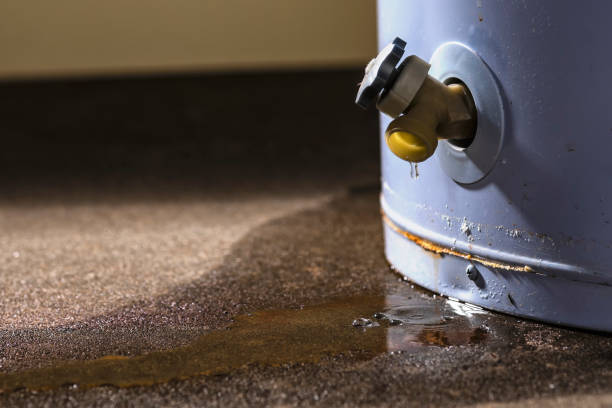 Best Sewage cleanup and water damage restoration  in Sidney, IL