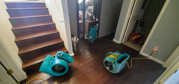 Best Flooded house restoration  in Sidney, IL