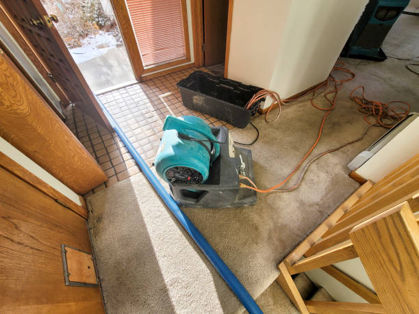 Best Flood damage cleanup  in Sidney, IL