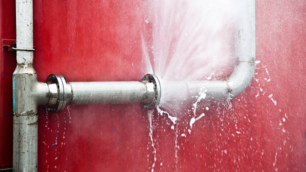 Best Flood restoration services  in Sidney, IL